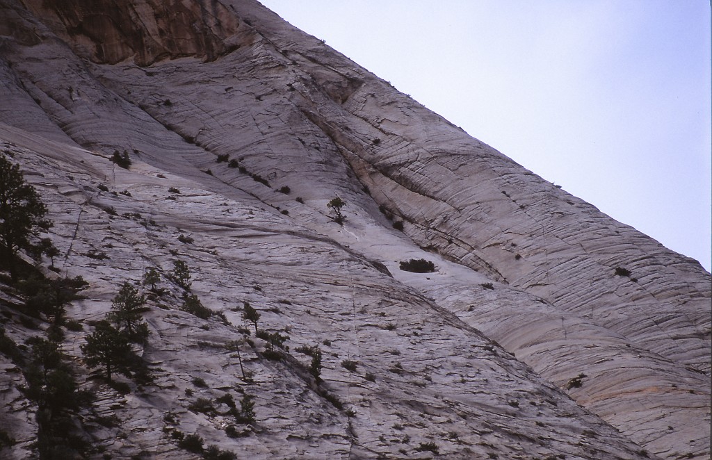 IMG_0022.jpg - Zion National Park  http://en.wikipedia.org/wiki/Zion_National_Park 