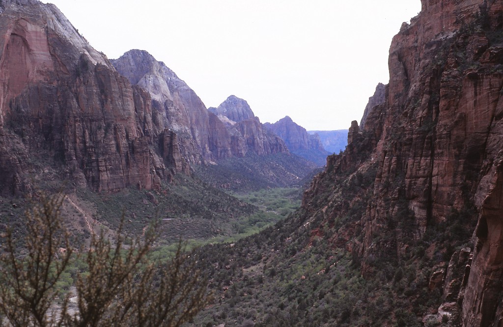 IMG_0023.jpg - Zion National Park  http://en.wikipedia.org/wiki/Zion_National_Park 