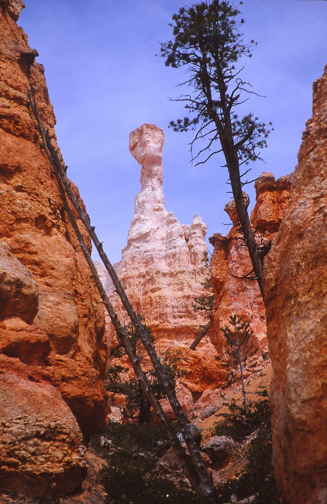 IMG_0030.jpg - Bryce-Canyon  http://en.wikipedia.org/wiki/Bryce_Canyon_National_Park 