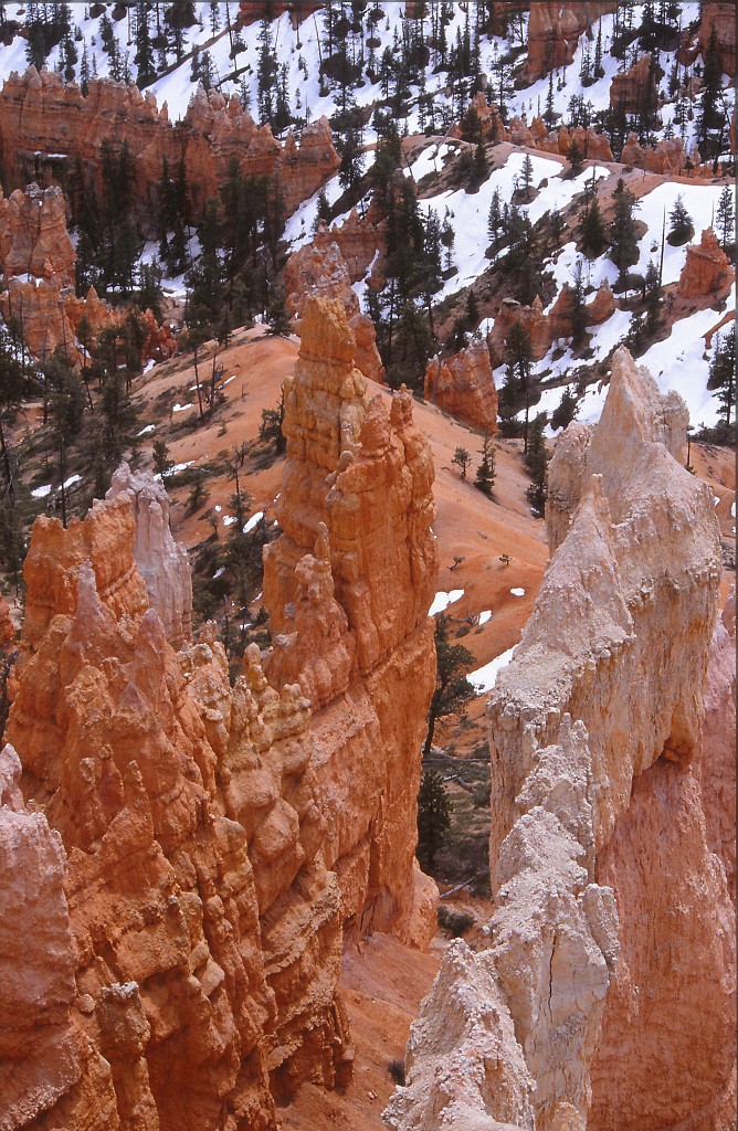 IMG_0036.jpg - Bryce-Canyon  http://en.wikipedia.org/wiki/Bryce_Canyon_National_Park 