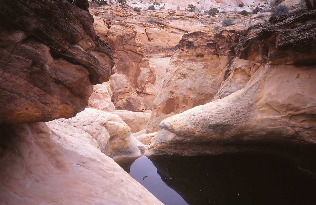 IMG_0040.jpg - Capitol Reef National Park  http://en.wikipedia.org/wiki/Capitol_Reef_National_Park 