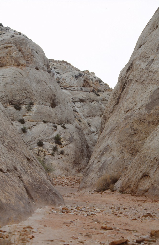 IMG_0043.jpg - Capitol Reef National Park  http://en.wikipedia.org/wiki/Capitol_Reef_National_Park 