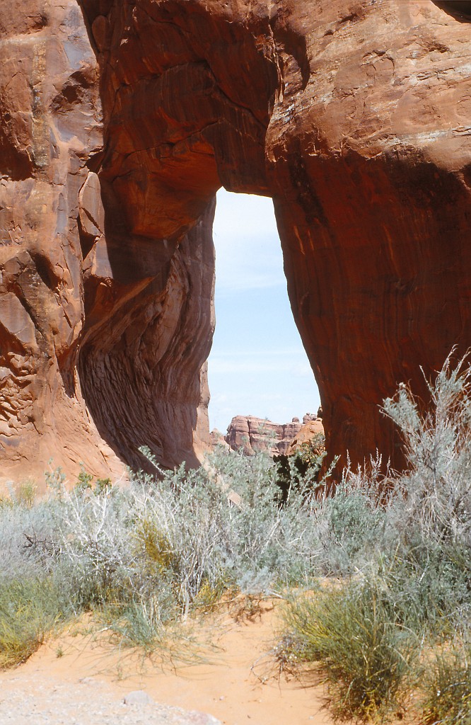IMG_0046.jpg - Pine Tree Arch  http://en.wikipedia.org/wiki/Devil%27s_Garden 