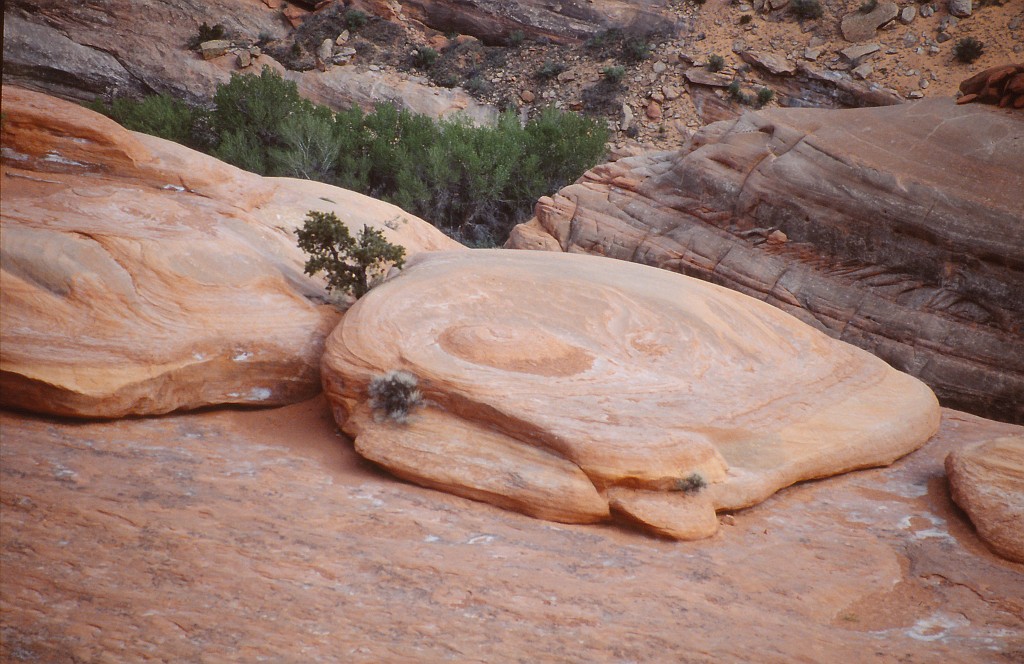 IMG_0058.jpg - Delicate Arch  http://en.wikipedia.org/wiki/Delicate_Arch 