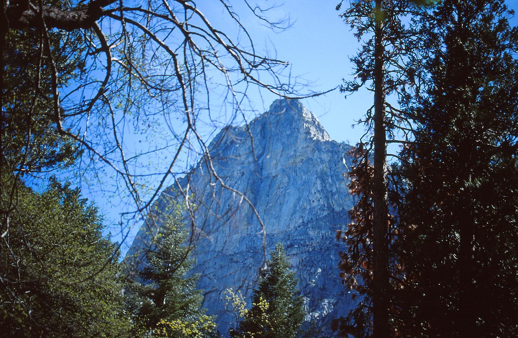 IMG_0150.jpg - Kings Canyon National Park  http://en.wikipedia.org/wiki/Kings_Canyon_National_Park 