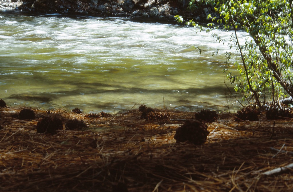 IMG_0151.jpg - Kings Canyon National Park  http://en.wikipedia.org/wiki/Kings_Canyon_National_Park 