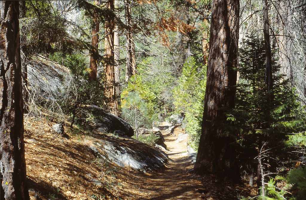 IMG_0152.jpg - Kings Canyon National Park  http://en.wikipedia.org/wiki/Kings_Canyon_National_Park 