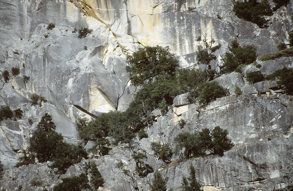 IMG_0157.jpg - Kings Canyon National Park  http://en.wikipedia.org/wiki/Kings_Canyon_National_Park 