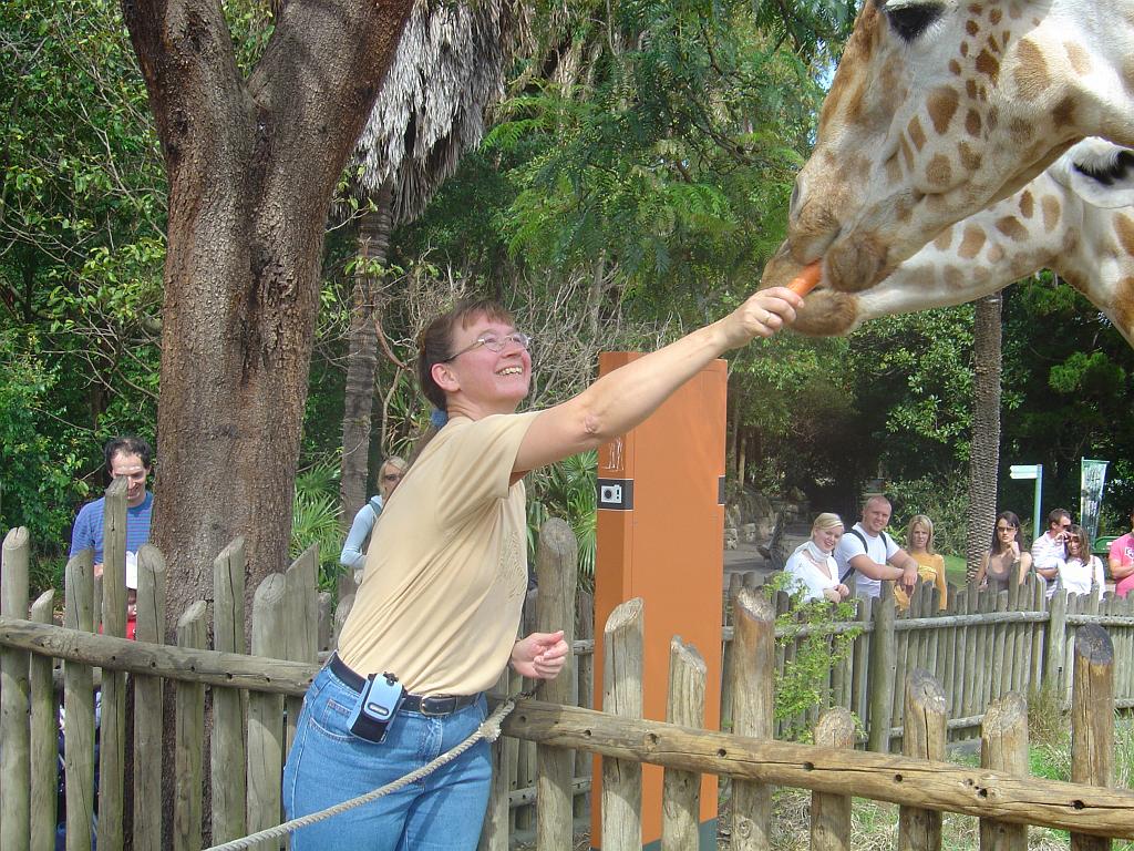 DSC02470.JPG - Sydney Taronga Zoological Park - Leonore & Giraffe
