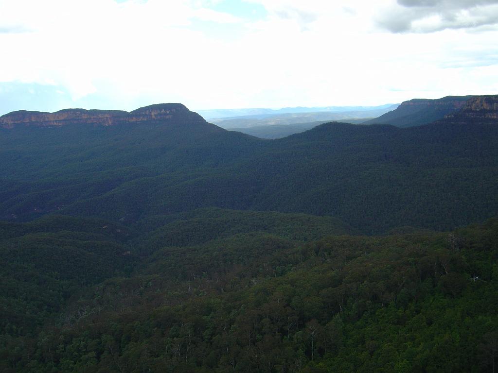 DSC02689.JPG - Blue Mountains