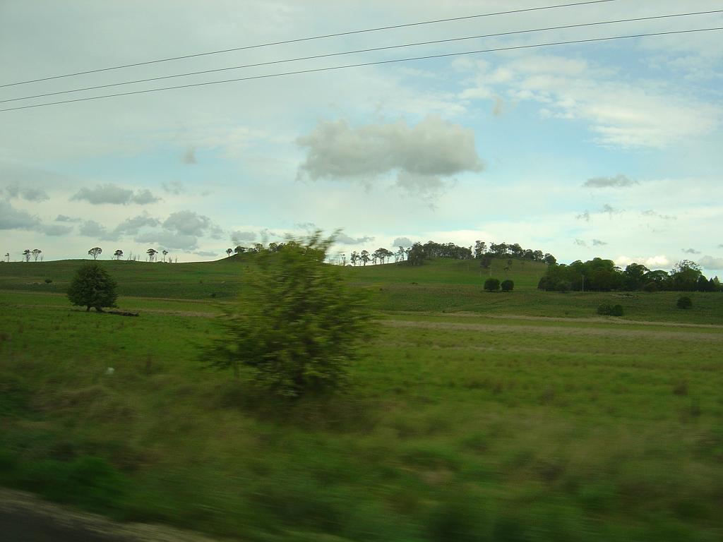 DSC02992.JPG - New England Highway between Tenterfield and Armidale