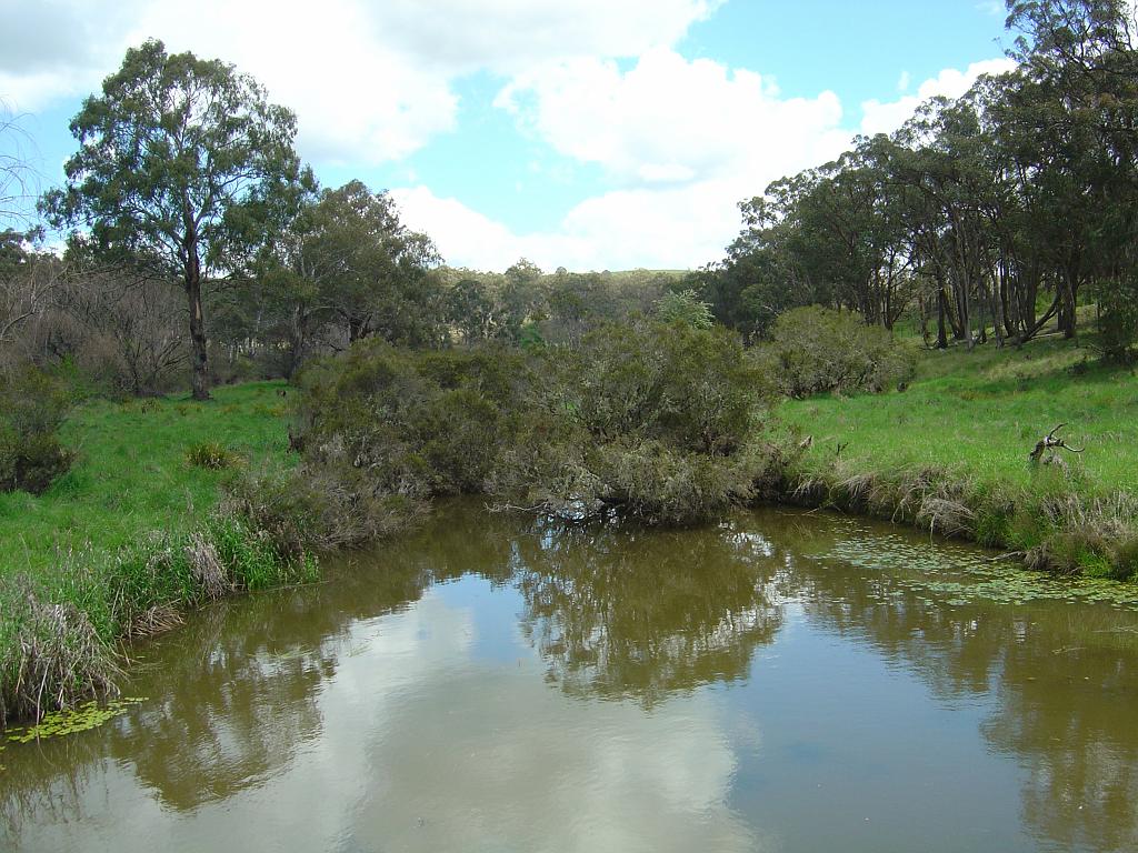 DSC03050.JPG - Oxley Wild Rivers National Park - Apsley River