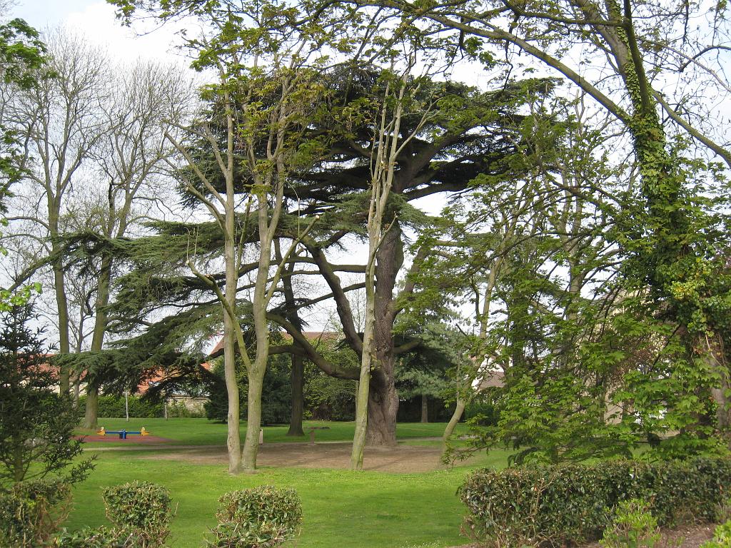 IMG_6092.JPG - Parc du Cèdre