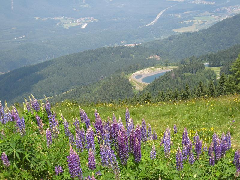 IMG_8066.JPG - Dreiländereck