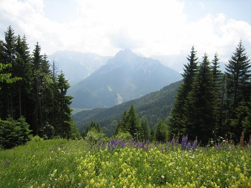 IMG_8082.JPG - Dreiländereck