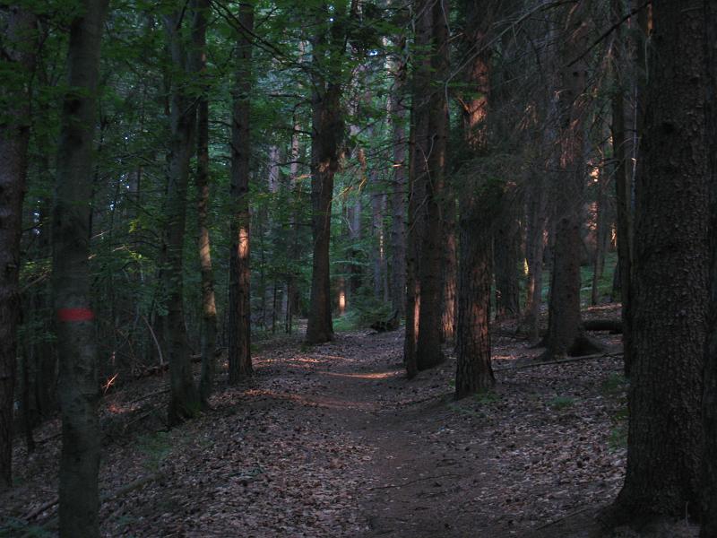 IMG_8447.JPG - Weinbergwanderweg am Morgen