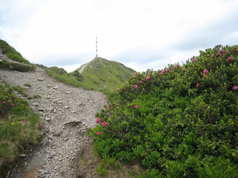 IMG_8490.JPG - Abstieg vom Goldeck