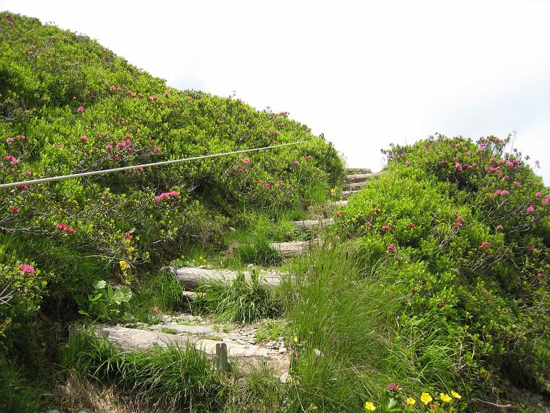 IMG_8492.JPG - Abstieg vom Goldeck