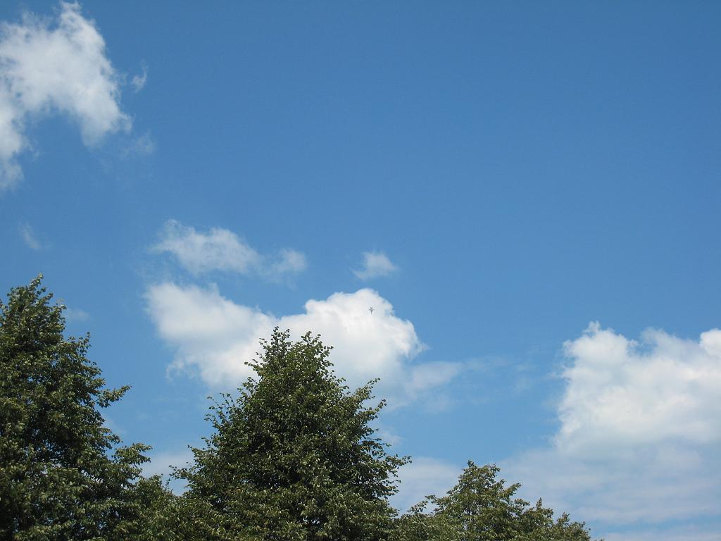 IMG_8923.JPG - Jet in Looping