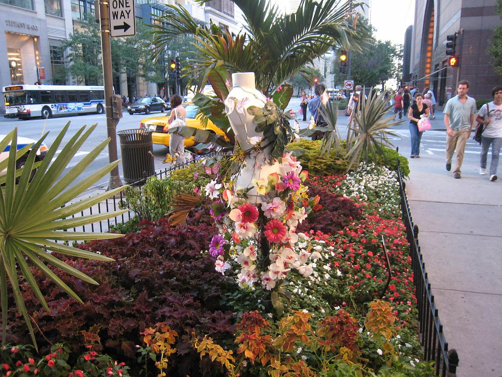 IMG_9204.JPG - God's Creation