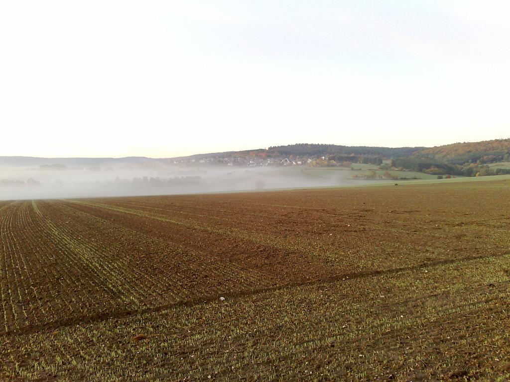 10102008026.jpg - Rod am Berg