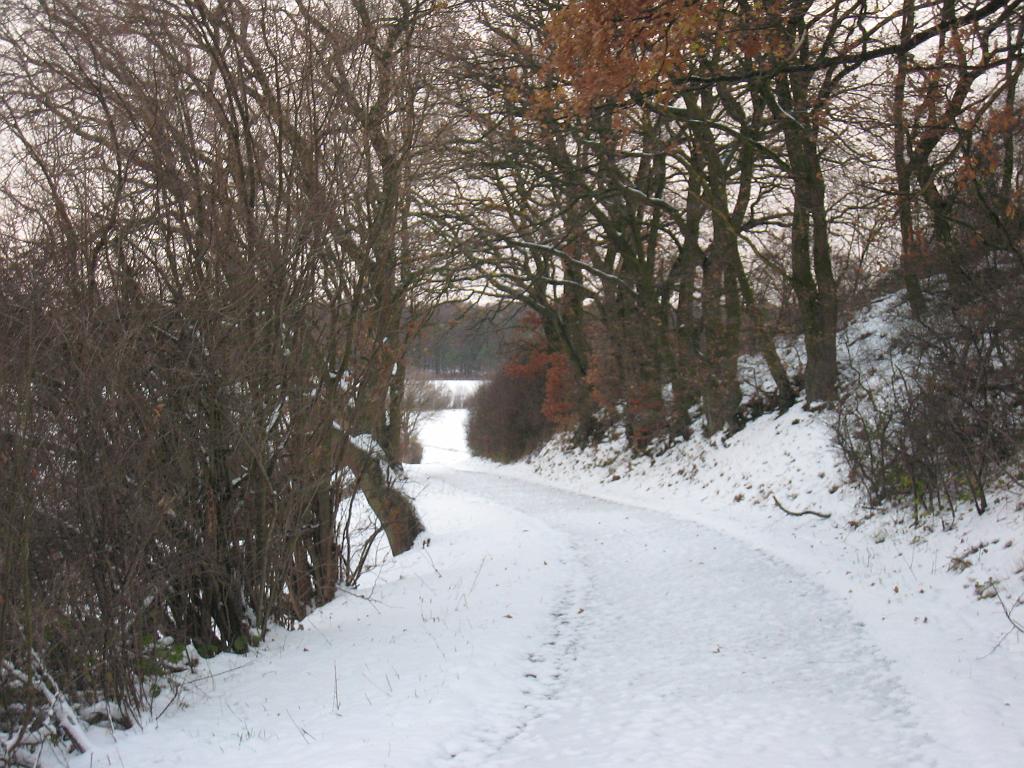 IMG_9953.JPG - Snowy Road