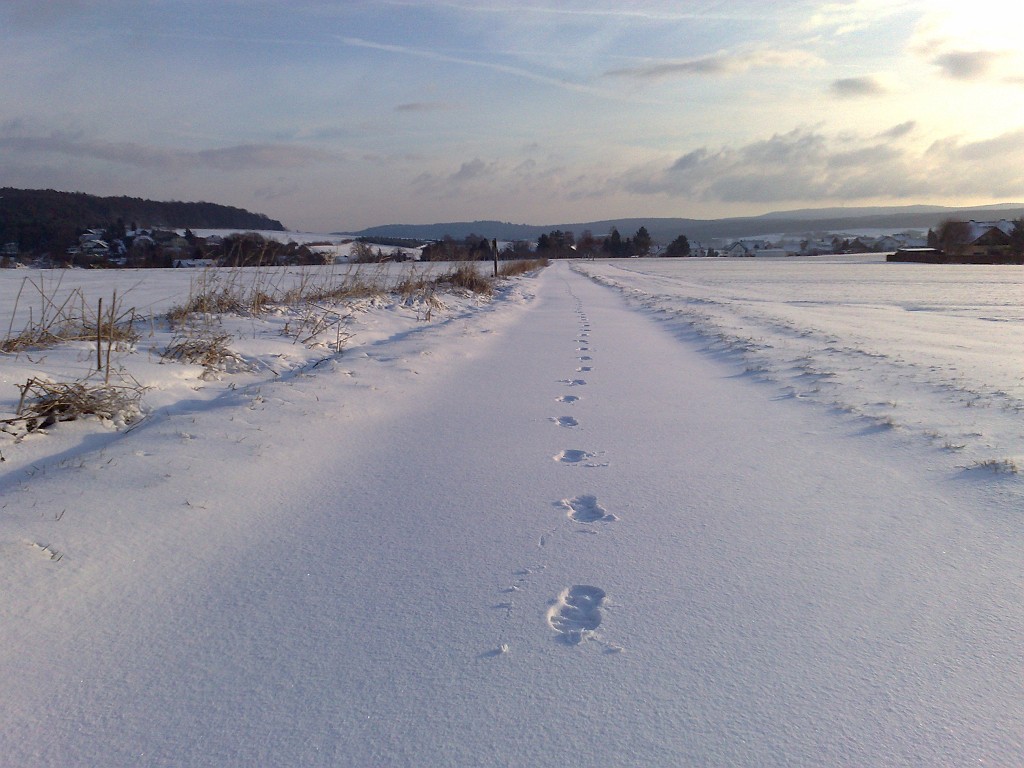 11022009089.jpg - Traces in the snow