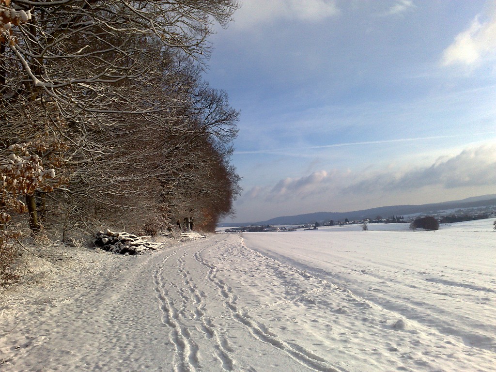 11022009096.jpg - Hausen