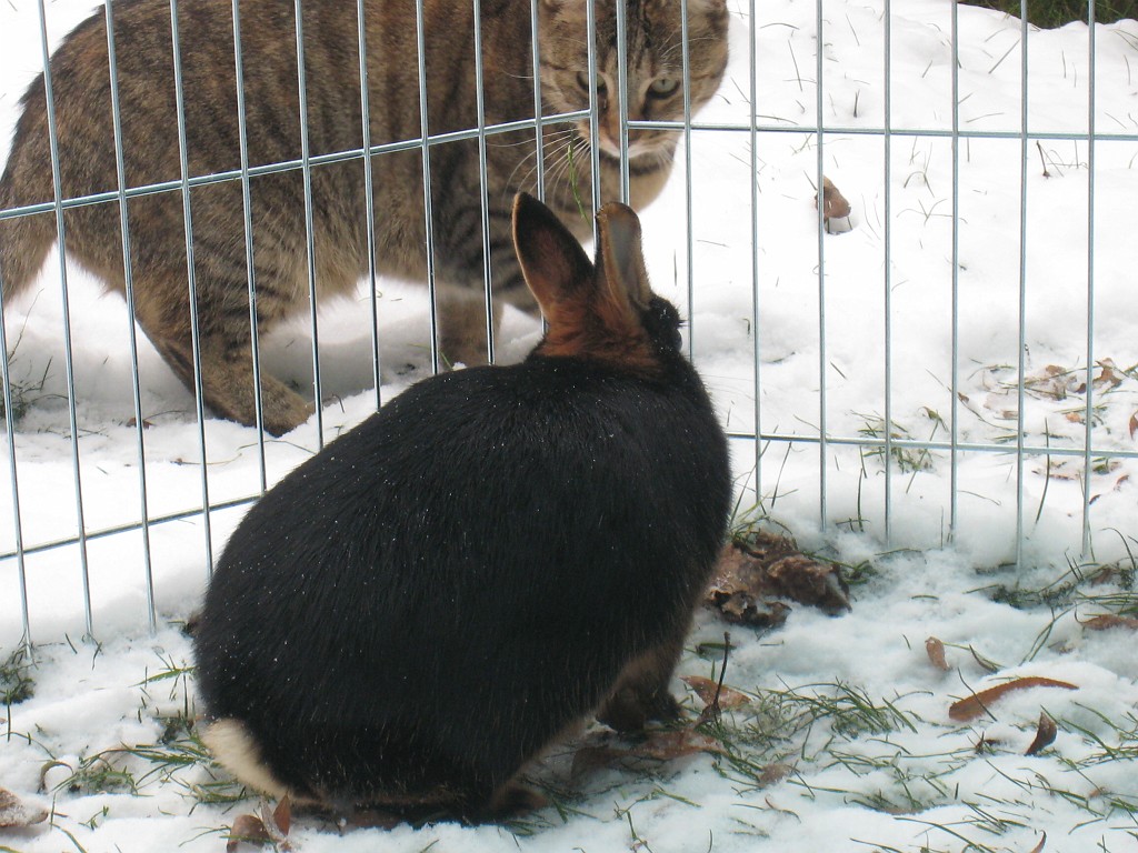 IMG_0180.JPG - Daisy und Emily