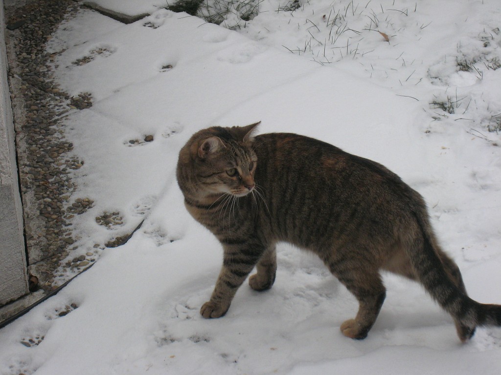 IMG_0185.JPG - Emily