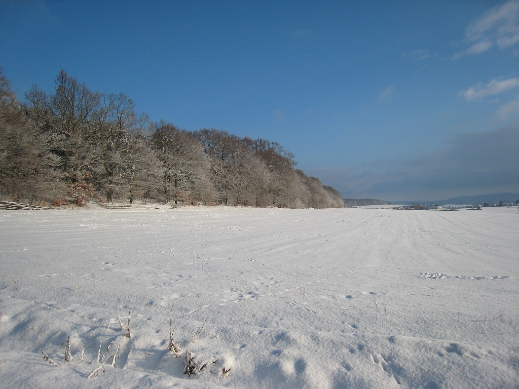 IMG_0277.JPG - Forrest