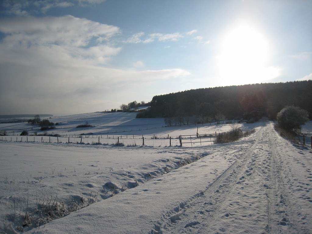 IMG_0278.JPG - Snowy meadows