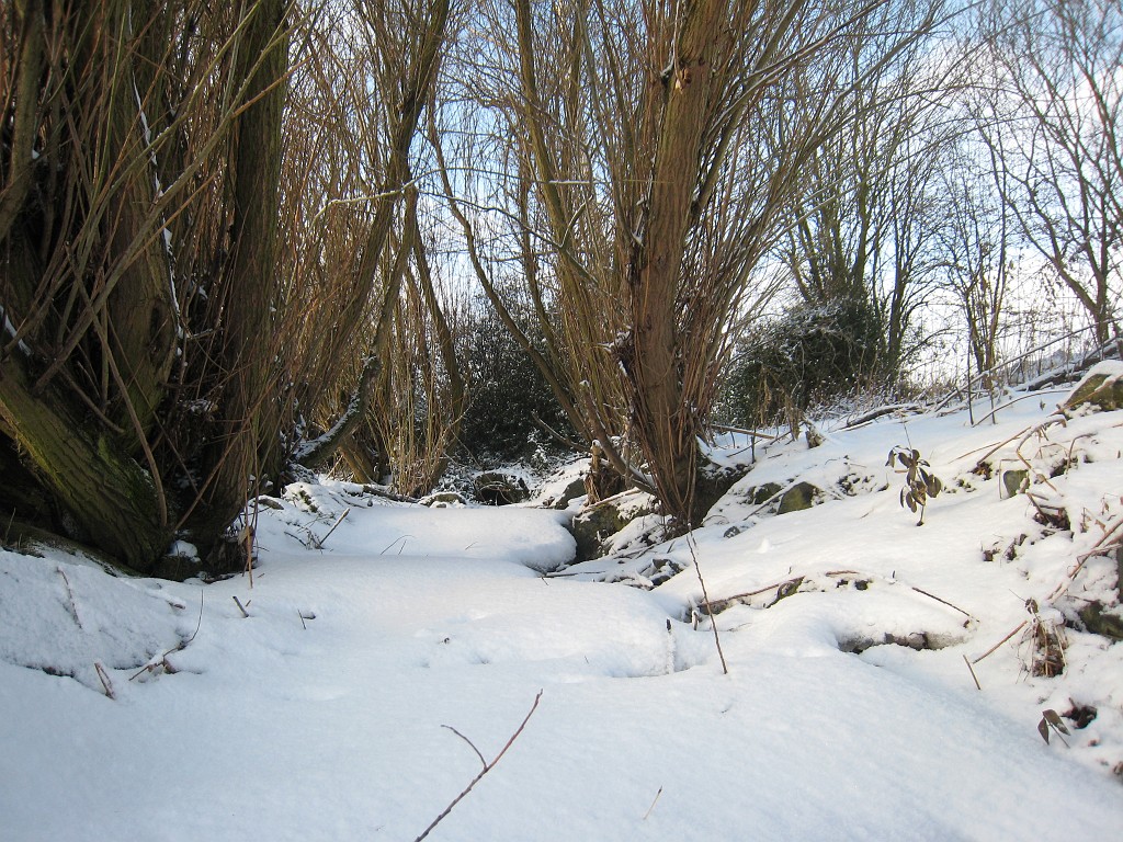 IMG_0292.JPG - Creek