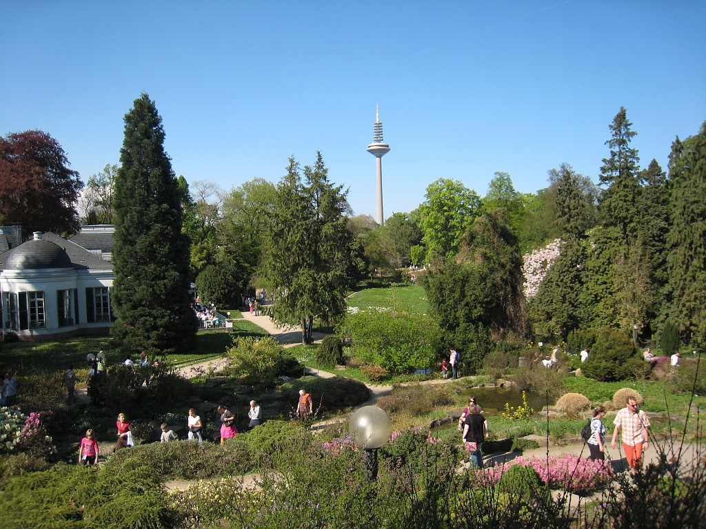 IMG_0414.JPG - Frankfurter Palmengarten  http://en.wikipedia.org/wiki/Palmengarten ,  http://de.wikipedia.org/wiki/Palmengarten_Frankfurt 