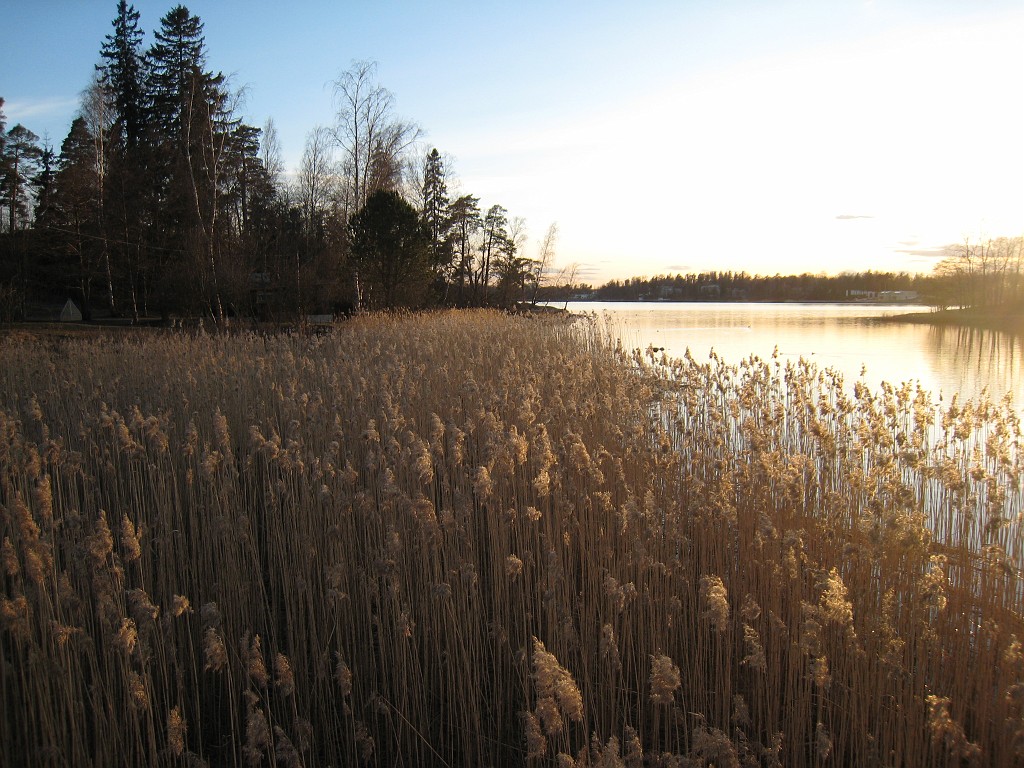IMG_1021.JPG - Seurasaari  ( http://en.wikipedia.org/wiki/Seurasaari )