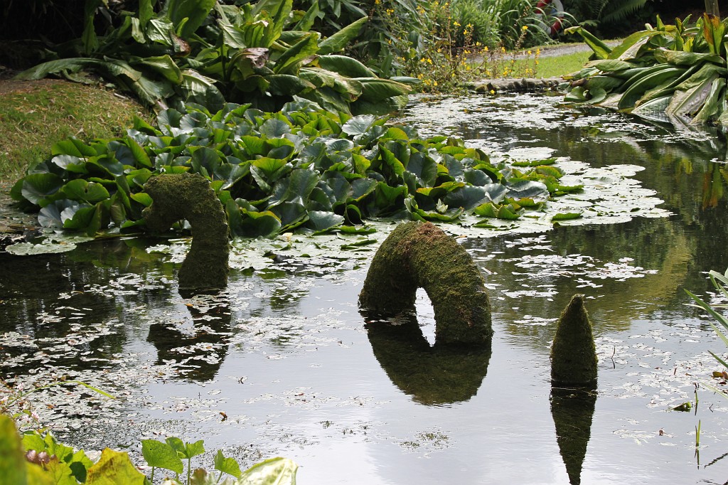 IMG_1593.JPG - Monster of Trebah Garden  http://en.wikipedia.org/wiki/Trebah_Gardens 