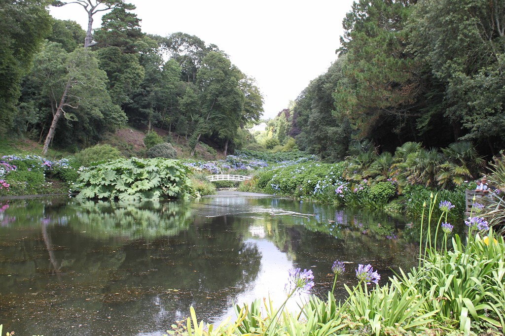 IMG_1623.JPG - Trebah Garden Mallard Pond & valley  http://en.wikipedia.org/wiki/Trebah_Gardens 