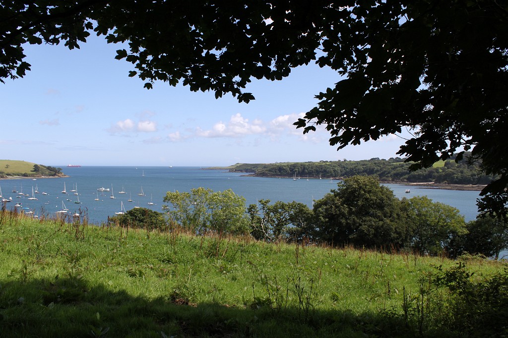 IMG_1628.JPG - Trebah Garden  http://en.wikipedia.org/wiki/Trebah_Gardens 