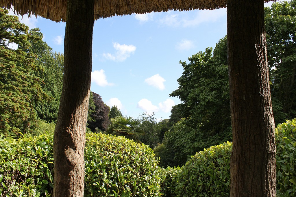 IMG_1643.JPG - Glendurgan Garden center of the maze  http://en.wikipedia.org/wiki/Glendurgan_Garden 