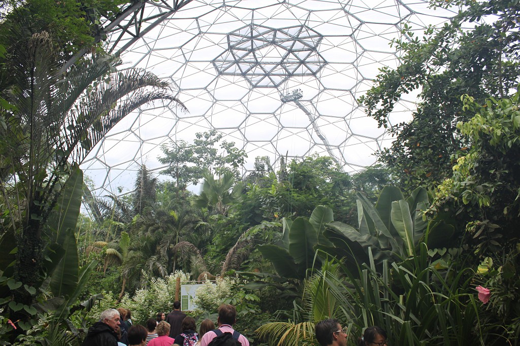 IMG_1766.JPG - Eden Project Greenhouse  http://en.wikipedia.org/wiki/Eden_Project 
