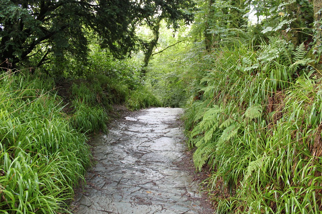 IMG_1912.JPG - Lydford Gorge Trial  http://www.nationaltrust.org.uk/main/w-vh/w-visits/w-findaplace/w-lydfordgorge/ 