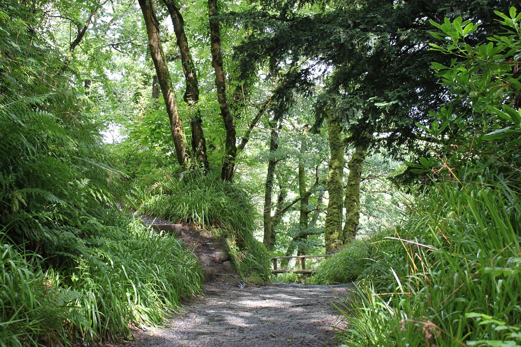 IMG_1914.JPG - Lydford Gorge  path and vista point  http://www.nationaltrust.org.uk/main/w-vh/w-visits/w-findaplace/w-lydfordgorge/ 