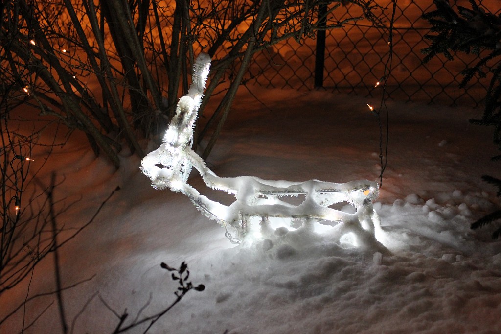 IMG_4417.JPG - Rudolf das Rentier