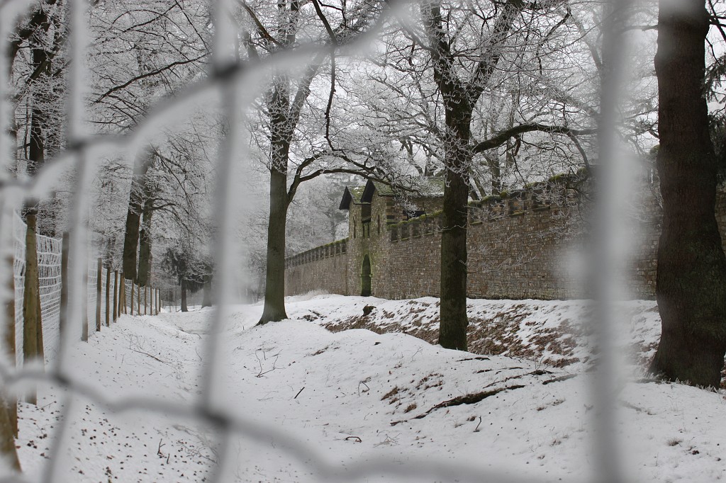 IMG_4439.JPG - Hoar frost around Saalburg