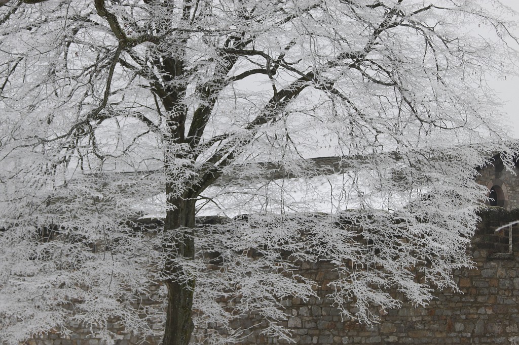 IMG_4452.JPG - Hoar frost around Saalburg