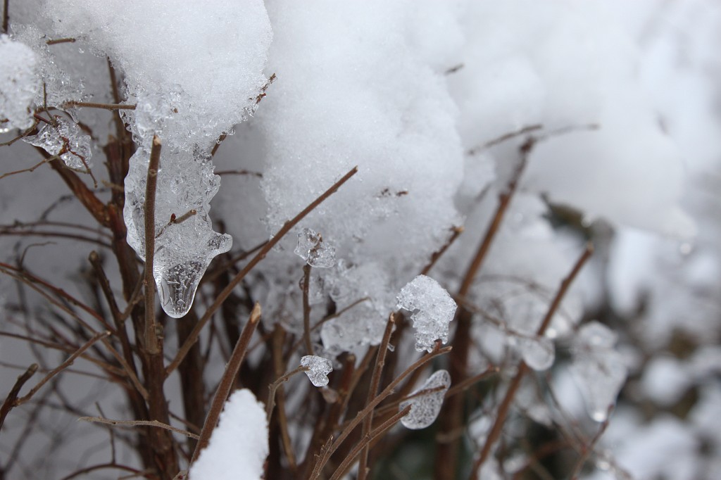 IMG_4498.JPG - Melting snow