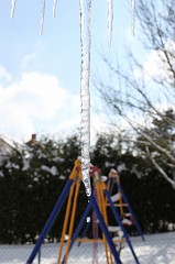 Water drop from an icicle