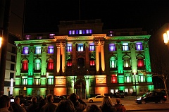 Luminale customizable lights