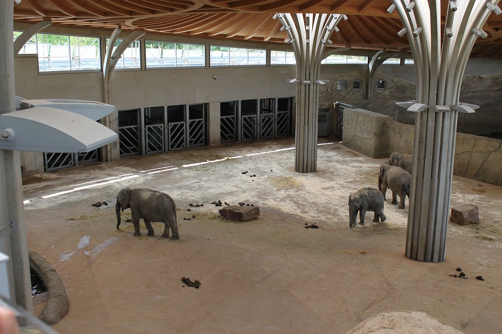 IMG_5563.JPG - Elephant house