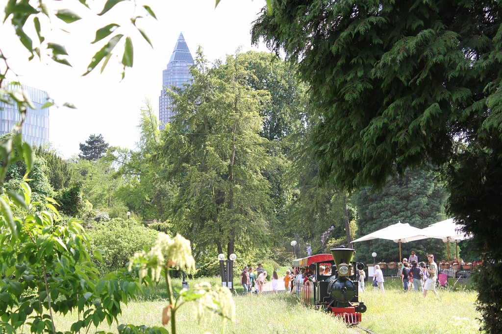 IMG_5828.JPG - Train